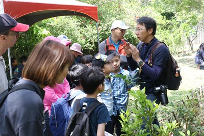 大坑賞螢與蝶共舞　遊秘境擁抱生態之旅